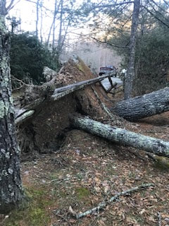 Storm Damage Debris and downed tree removal Asheville area