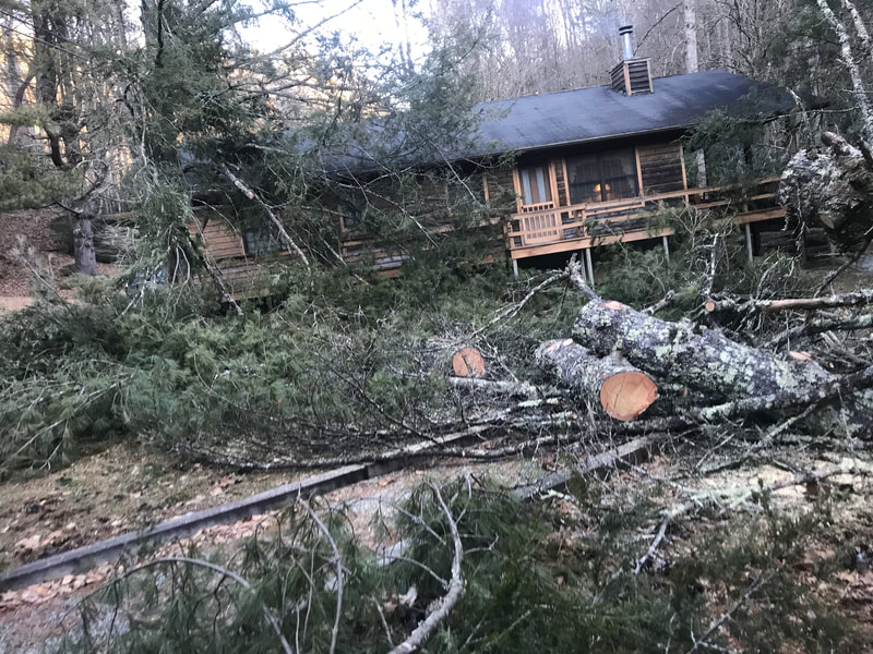 Storm Damage Debris and downed tree removal Asheville area