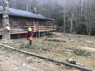 Tree Removal at a home in Fletcher North Carolina - yard cleanup afterwards