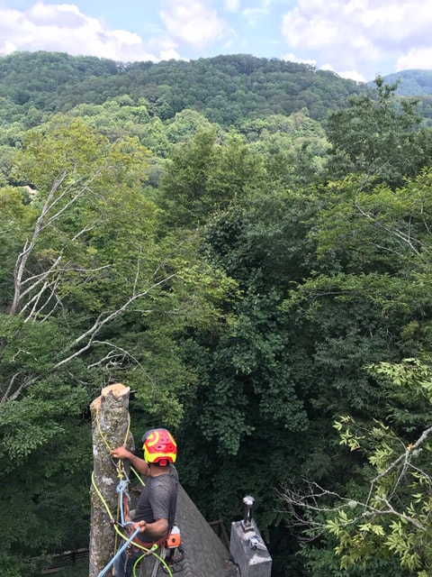 Tree removal at a home in the mountains near Asheville NC