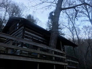 Picture Affordable Tree Care of Asheville NC Tree Cutting Service Removal Fletcher Weaverville, Black Mountain WNC