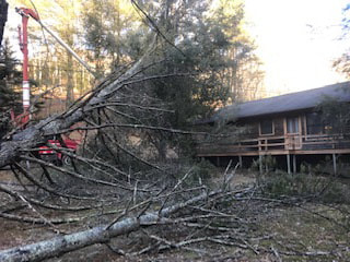 Picture storm damage cleanup Affordable Tree Care of Asheville NC Tree Cutting Service Removal Fletcher Weaverville, Black Mountain WNC